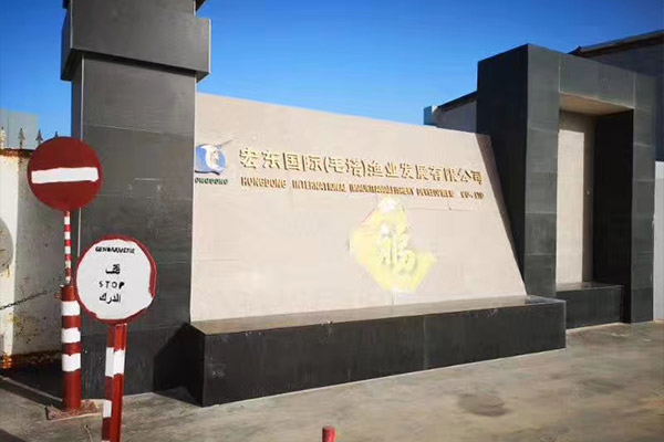 出口毛里塔尼亞一化工廠用6噸、10噸燃?xì)庹羝仩t項(xiàng)目